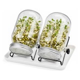 thumbnail of Relaxdays Sprossenglas 2er Set, Ständer & Abtropfschale, Keimglas für Sprossen, 850 ml, zur Sprossenanzucht, klar/weiß