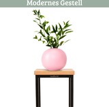 thumbnail of DELUKE® Blumenständer Holz LURI - 3er Set, Eichenholz, Metallgestell | Dekoständer für Blumen Pflanzenregal Pflanzenständer
