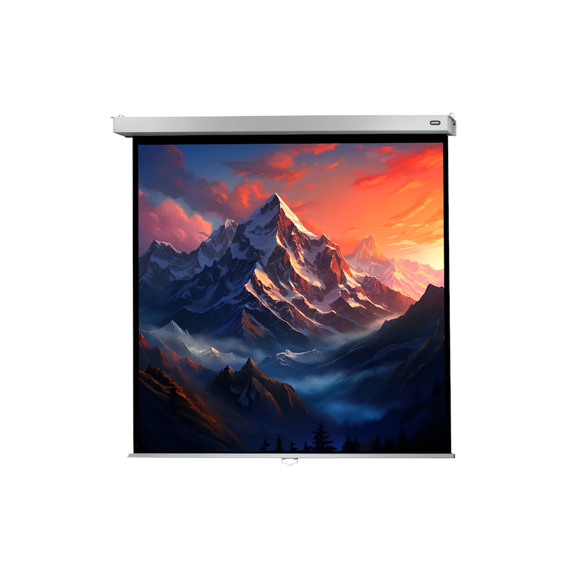 celexon Leinwand Rollo Professional Plus 240 x 240 cm - 134`