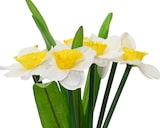 thumbnail of 1 Kunst Blumenbündel Osterglocken 13x25cm Narzissen Blumenstrauß Osterdeko Blumendeko Frühlingsdeko Sommerdeko Gelb Weiß Grün