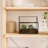 thumbnail of Relaxdays Pflanzenterrarium, Glas & Zinn, Deko Glashaus für Kakteen & Moos, Glaskasten für Fensterbank, schwarz