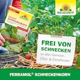 thumbnail of Neudorff Ferramol Schneckenkorn 500g