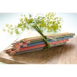 thumbnail of STABILO® 6019/12-1-20 Umweltfreundlicher Buntstift - GREENcolors - ARTY - 12er Pack - mit 12 verschiedenen Farben