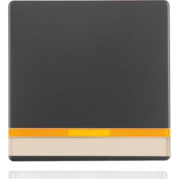 Berker Wippe anth/sa 16286086