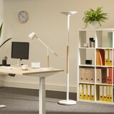 thumbnail of Lampadaire à éclairage indirect Pryska, à LED, coloris blanc/hêtre