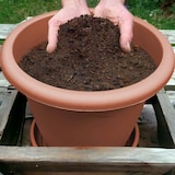 thumbnail of Jarrón redondo Ø25x20h cm + Platillo