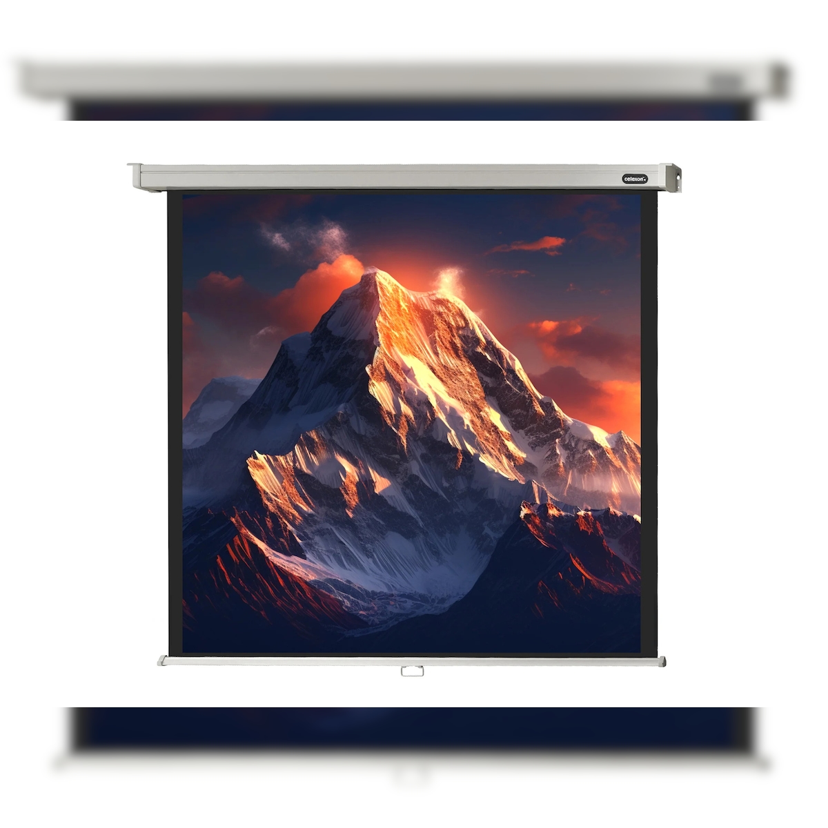 celexon Leinwand Rollo Professional 280 x 280 cm - 156`
