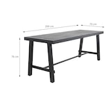 thumbnail of METRO PROFESSIONAL Biertafelset 3-delig Picada, 1 biertafel 220 x 70 cm, 2 bierbanken 180 x 31 cm, zwart