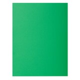 thumbnail of Exacompta - Réf. 800004E - Paquet de 100 sous-chemises ROCK''S 80 g/m2 - dim 22 x 31 cm pour A4 - couleur sapin