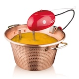 thumbnail of MACOM Polentino 31, mescolatore elettrico per polenta 851