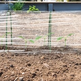 thumbnail of Relaxdays Tunnelbögen, 6er Set, Bügel für Pflanztunnel & Hochbeet, HxB: 31 x 33 cm, witterungsbeständig, biegsam, grün