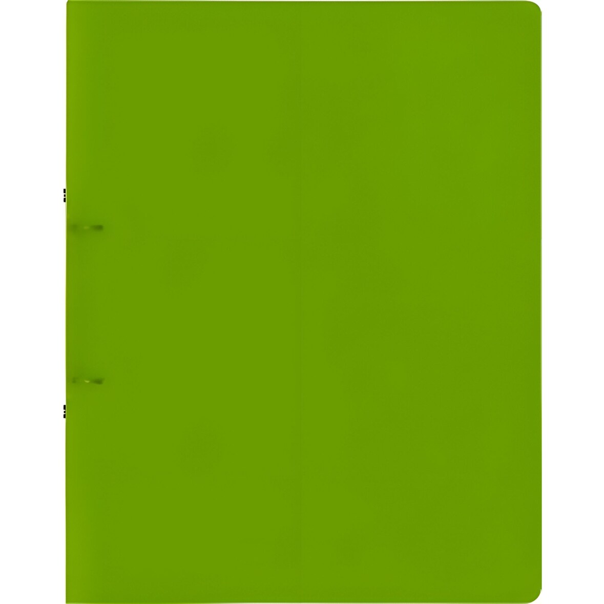 BRUNNEN Ringbuch A4 FACT! 25mm 2-Ringe hellgrün 106550552