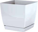 thumbnail of WellHome - Set mit 3 Töpfen 13,5 cm, Farbe Weiß