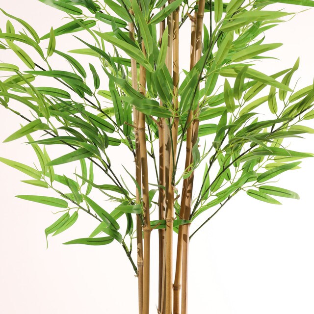 mobile_image
