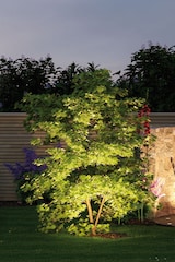 thumbnail of Paulmann Plug & Shine Projecteur de jardin LED Sting Spot individuel  IP67 3000K 6,4W   Anthracite 93934