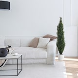 thumbnail of Planta artificial / árbol artificial CEDRUS 152 cm verde hjh OFFICE