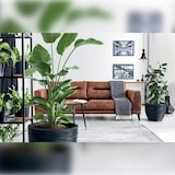 thumbnail of Prosperplast - Anthrazitfarbener Blumentopf mit Reservoir, FURU-Kollektion - 29,8 x 29,8 x 28 cm, 15 L Fassungsvermögen