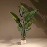 thumbnail of Pianta artificiale Ravenala 180cm | Naturing Monde - Interno - Tronco naturale