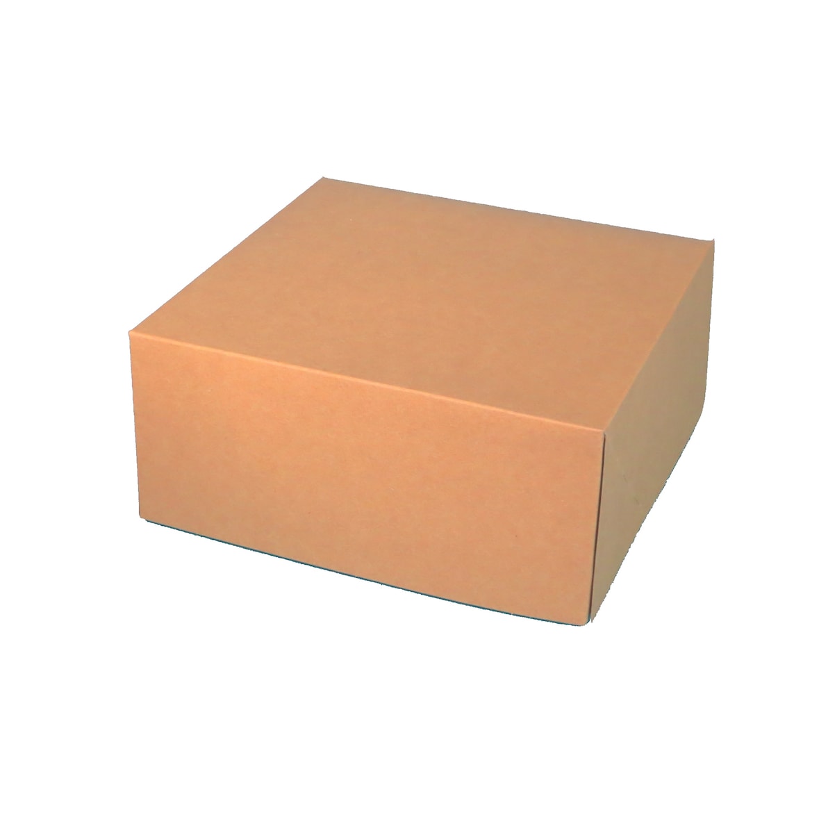 100 Tortenkartons Cakeboxen Bio braun fettdicht 22x22x10cm 1-teilig