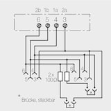thumbnail of Rutenbeck Anschlussdose IAE/UAE 2x8 (4) TRS Ap rw