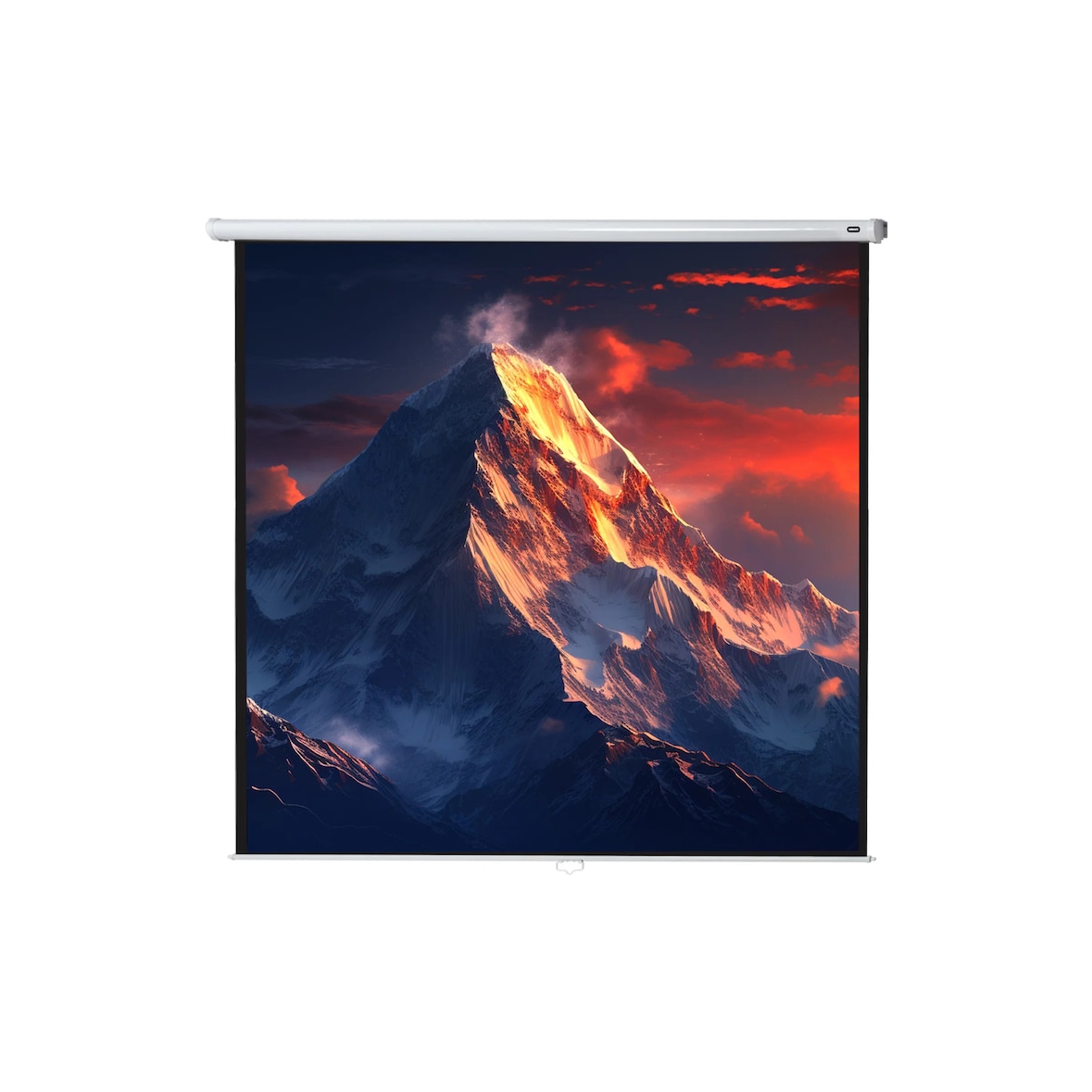 celexon Leinwand Rollo Economy 240 x 240 cm - 134`