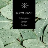 thumbnail of Reed Diffuser, Aroma Diffuser, Duftöl Diffuser | Eucalyptus & Lemongrass | 100 ml, Glas, ohne Flamme & Strom