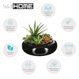 thumbnail of WellHome - Centro floral para decorar