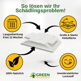 thumbnail of Brotkäfer Falle mit Spezial-Lockstoff: 15