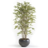thumbnail of Árbol bambú PREMIUM de alto realismo. De cañas naturales. Altura 180 cm y 1520 hojas