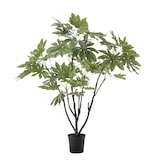 thumbnail of Fat Sia Japonica en pot 150 cm -  Vert Autre forme Plastique Lou De Castellane 0.01x0.01 cm
