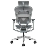 thumbnail of Ergonomischer Bürostuhl / Bürodrehstuhl mit Kopfstütze und Lendenwirbelstütze Business Chair, grau (1 Stück)