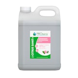 thumbnail of CITRUS SANIT+ détartrant désinfectant PAE 5L
