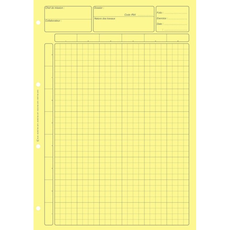 Bloc audit matrice contrôle interne - A4 - 80 feuilles