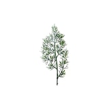 thumbnail of LED Tannenkranz Thuja Türkranz Weihnachtskranz beleuchtet D: 80cm für Außen