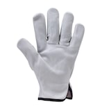 thumbnail of Coverguard - Gants manutention blanc en cuir tout fleur de vachette standard EUROSTRONG 2220 (Pack de 10) #ffffff Taille 11