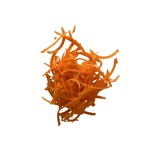 thumbnail of Z5 Scheibe 5-mm-Feinreibe für Gemüseschneider Skymsen