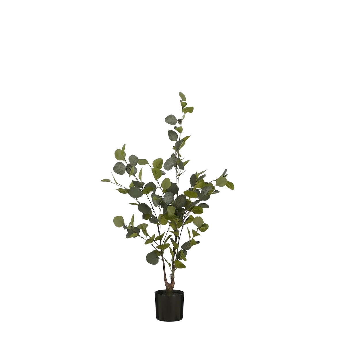 Eucalyptus boom in pot groen - h120xd55cm