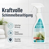 thumbnail of HOTREGA Schimmelentferner 500ml Flachsprühflasche