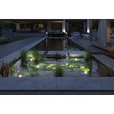thumbnail of Paulmann Plug & Shine LED-spot Vijverlamp Losse spot  IP68 3000K 5W   Zwart 94559