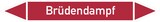 thumbnail of Rohrleitungskennzeichen Brüdendampf - 100x15 mm Folie selbstklebend