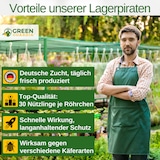 thumbnail of Lagerpiraten gegen Speckkäfer, Reismehl-/, Pelz-/ & Teppichkäfer: 5 x 30 Nützlinge für ca. 75m²