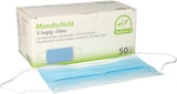 thumbnail of 1000 Medi-Inn® Mundschutz Type II, 3-lagig 9 cm x 17,5 cm blau mit Nasenbügel