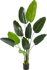 thumbnail of tectake Árbol de ave del paraíso artificial TROPIC, aspecto realista  Verde