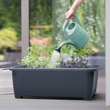 thumbnail of Regador de jardim 4,5L Prosperplast Koni na cor verde