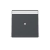 thumbnail of Gira Wippe Kontrollf. 367028