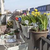 thumbnail of Relaxdays Bewässerungskugeln Glas, 4er Set, HxD 30x9 cm, Gießkugeln für Pflanzen, Bewässerungshelfer Urlaub, transparent