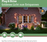 thumbnail of Paulmann Plug & Shine Laterne Classic EinzelleuchteIP44 1900K 2WAnthrazit 94317