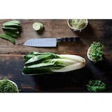 thumbnail of Friedr. Dick Santokumesser Serie 1905 mit Kullen