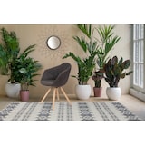 thumbnail of Kayoom Stuhl Chadwick 110 2er-Set Schwarz / Braun