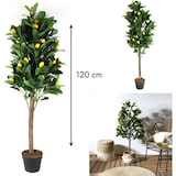 thumbnail of NATURN LIVING Kunststof Citroenboom - ø 16 x 125 cm - Citrus Limon - Kunstboom - Onderhoudsvrije Boom - Nepplant - Geel